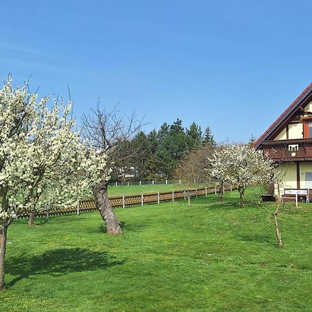 Ferienwohnung Zur Saaleaue Wettin Екстериор снимка