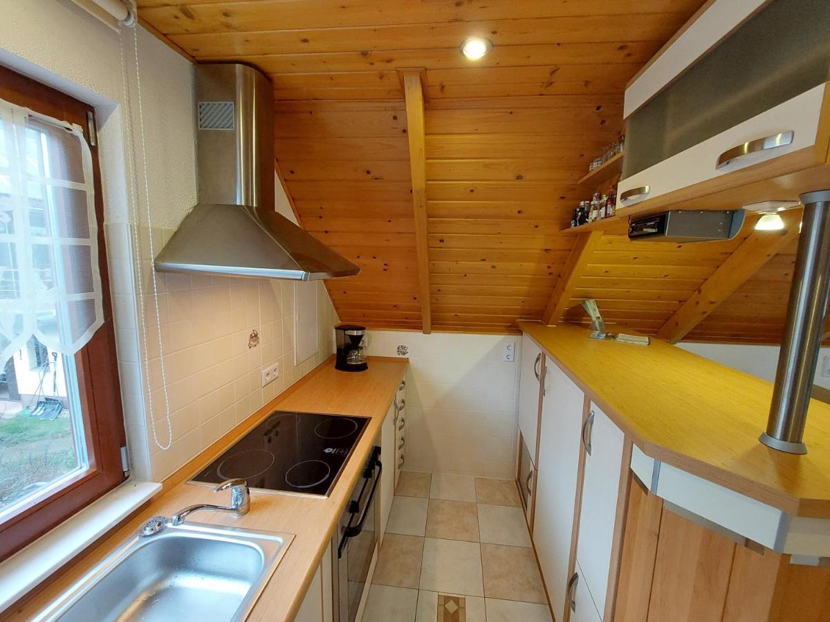 Ferienwohnung Zur Saaleaue Wettin Екстериор снимка