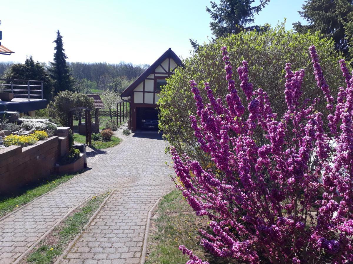 Ferienwohnung Zur Saaleaue Wettin Екстериор снимка