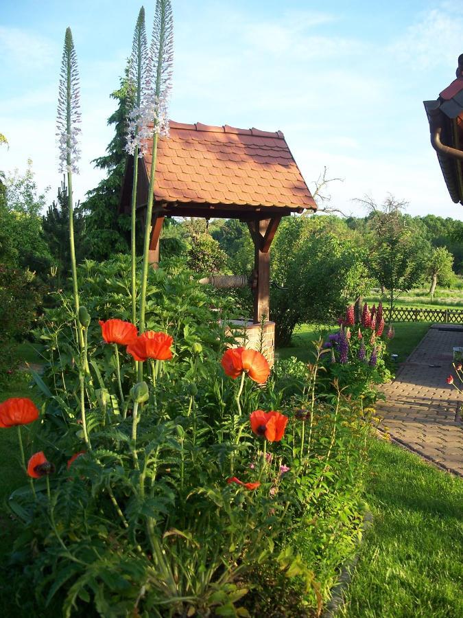 Ferienwohnung Zur Saaleaue Wettin Екстериор снимка