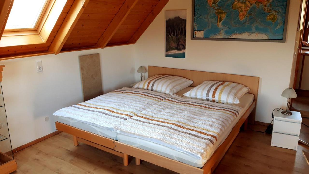Ferienwohnung Zur Saaleaue Wettin Екстериор снимка