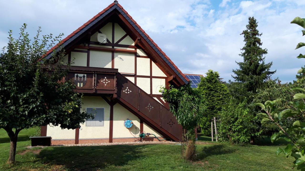 Ferienwohnung Zur Saaleaue Wettin Екстериор снимка
