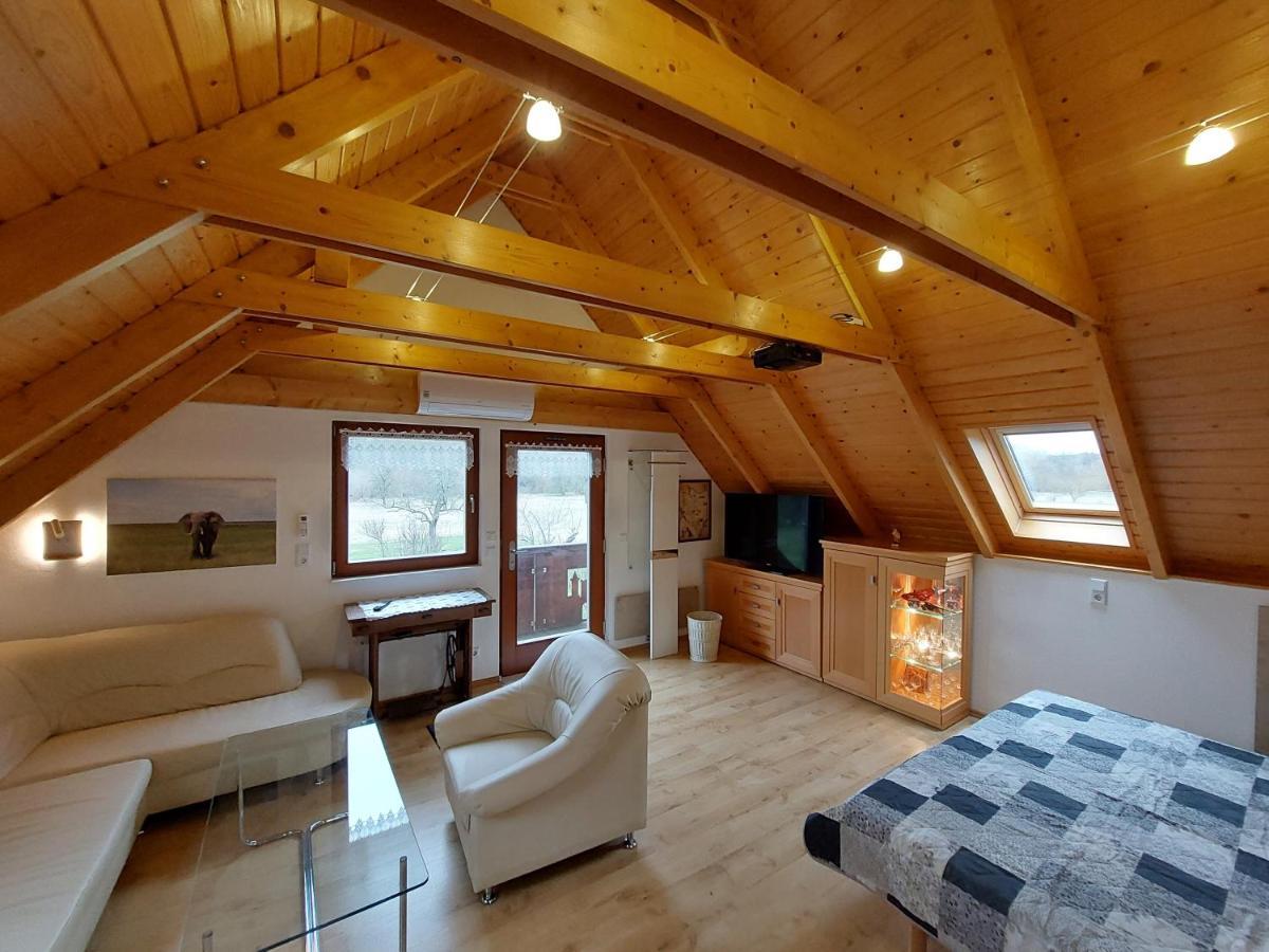 Ferienwohnung Zur Saaleaue Wettin Екстериор снимка