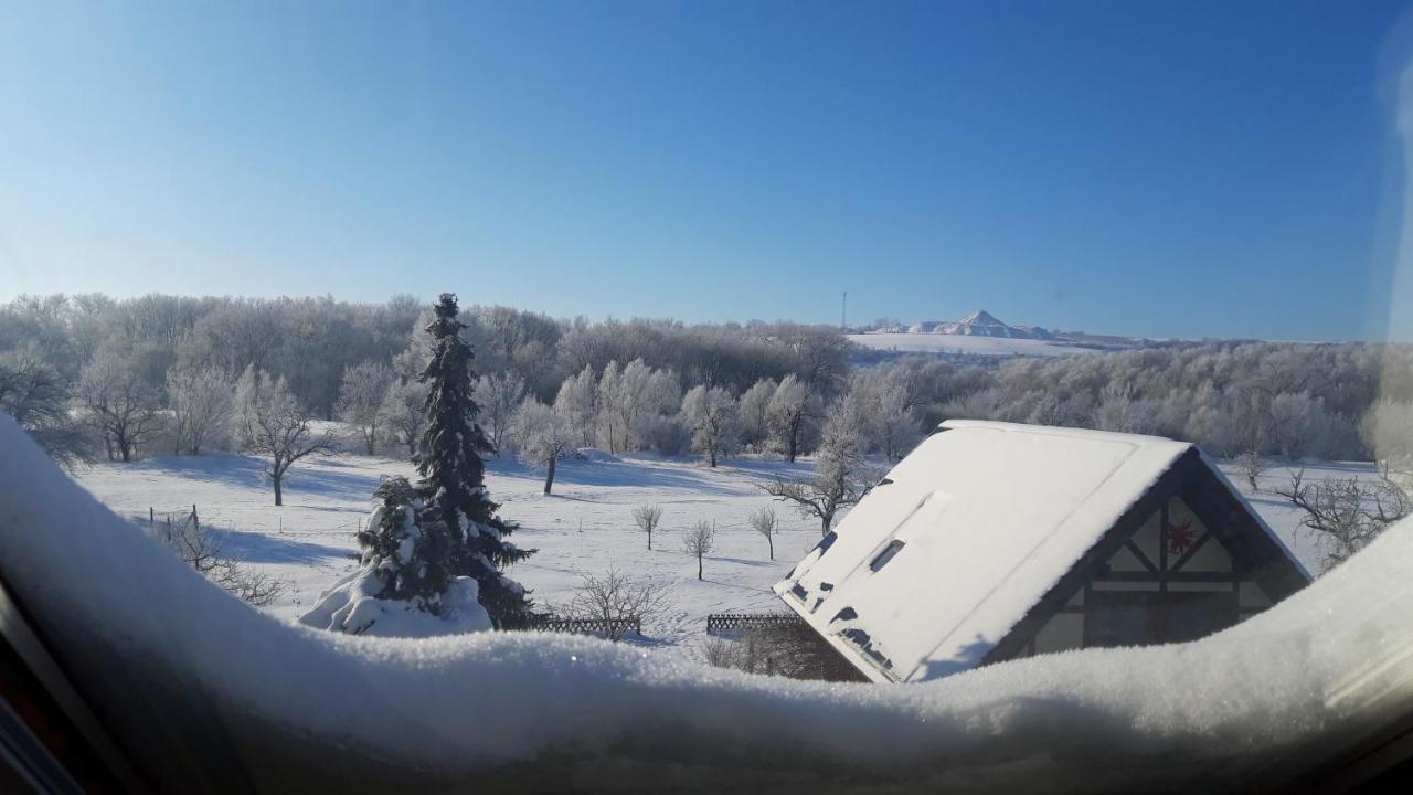 Ferienwohnung Zur Saaleaue Wettin Екстериор снимка