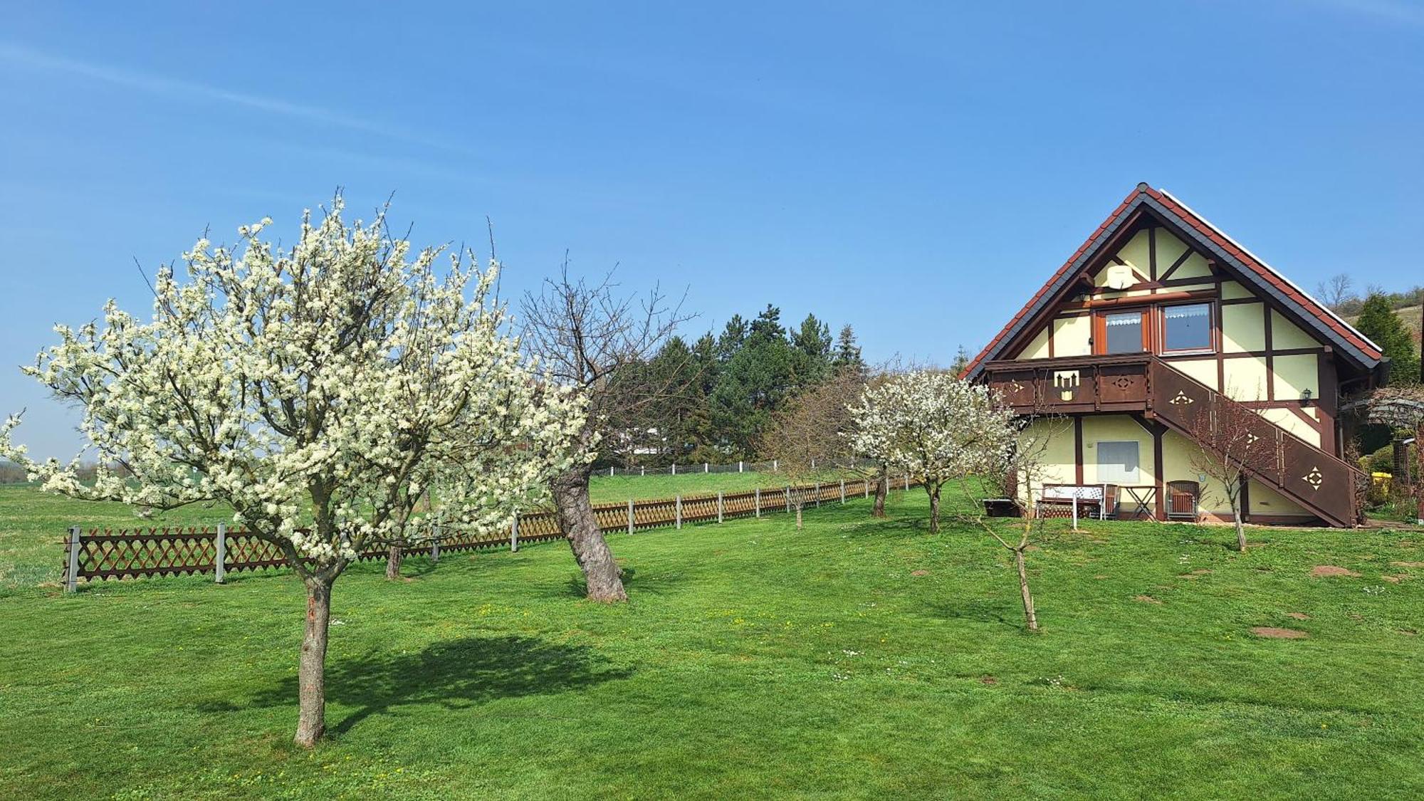 Ferienwohnung Zur Saaleaue Wettin Екстериор снимка